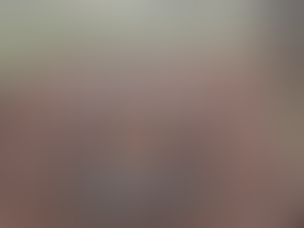 Slowing Down - The Way of Phi in Practice -