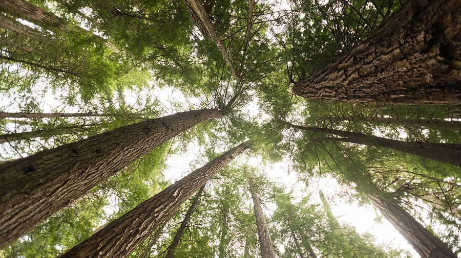 A Guide to ESG