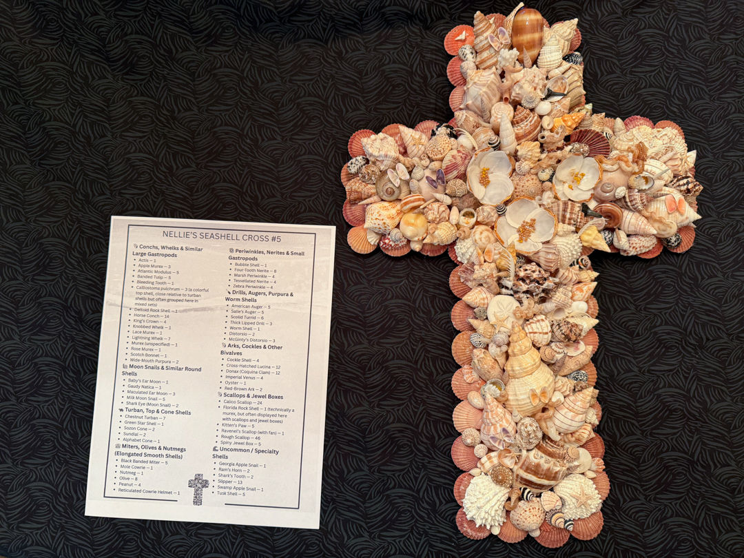 Nellies Seashell Cross Collection #5