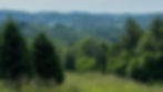 BCTree-May2024_-52.jpg