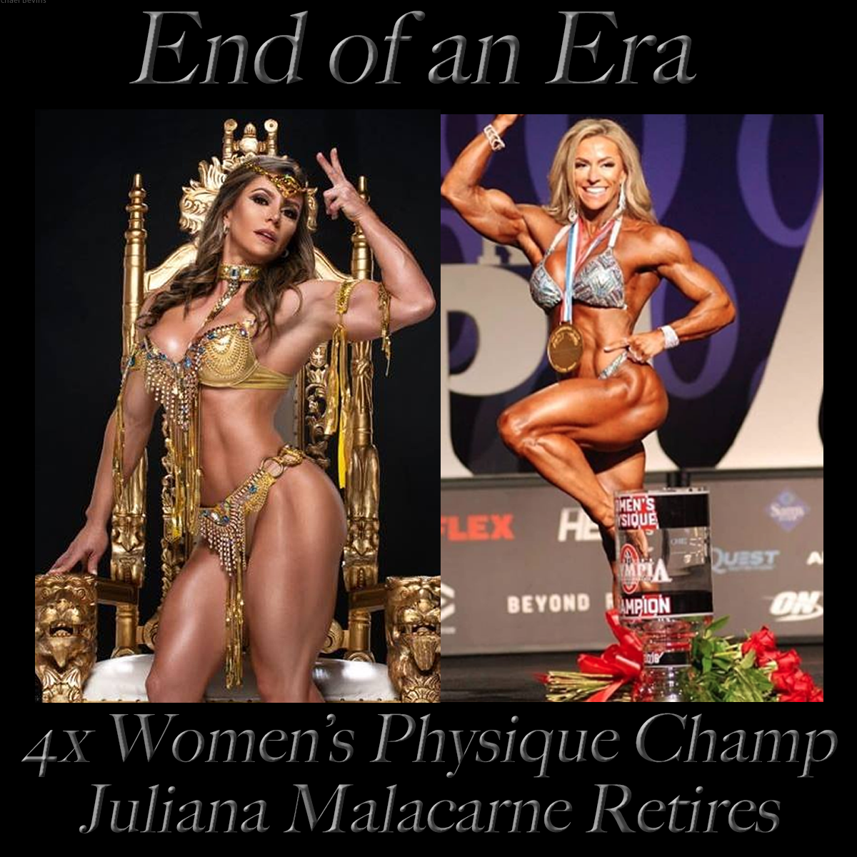 Juliana Malacarne - Nerd Ninja, image size:1200x1200