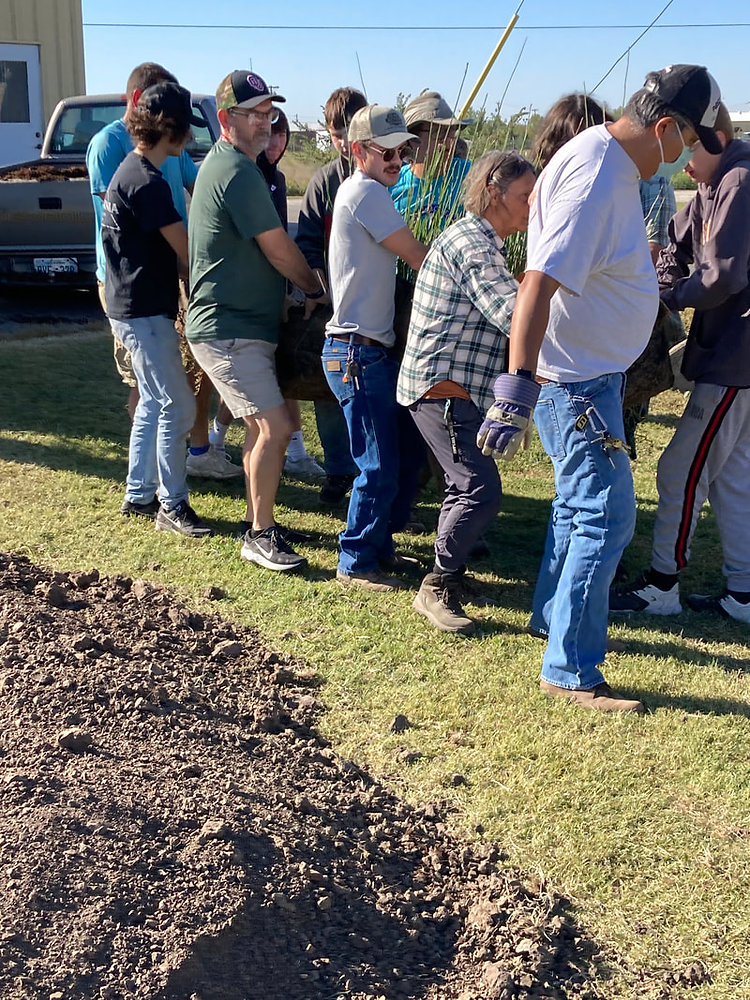 Designing A Rain Garden