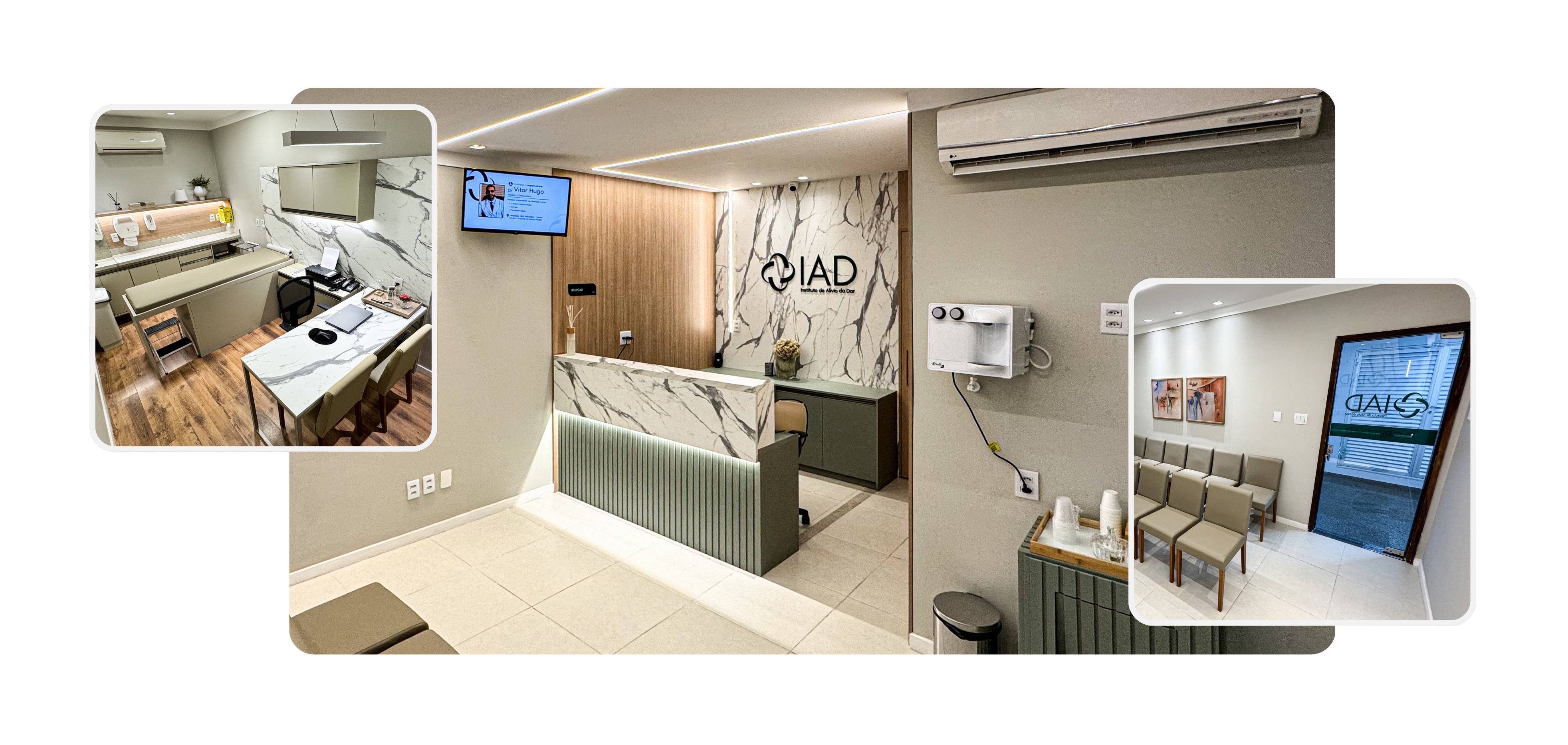 LP Gineco Garibaldi.png