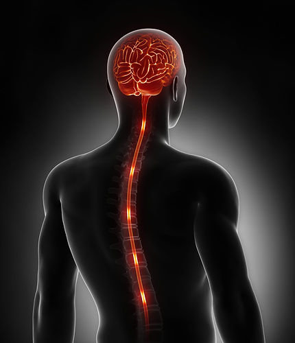 SpinalStimulation.jpg