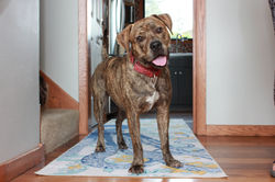 53857193756_d02b2ba8c1_k