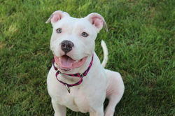 50106606821_1a0a88af6a_k