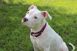 50106609341_de35719f3a_k