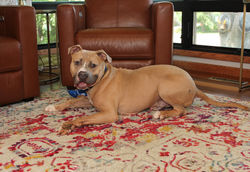 54618315643_a1ae7e1080_k