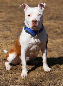 49664561587_186ca9dcdb_k