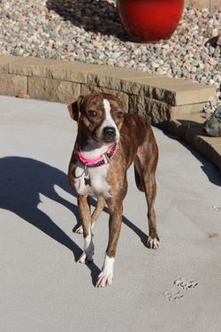 52513076531_c6b8564eda_k