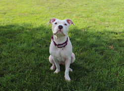 50106846592_16013e99b1_k