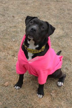 54308329893_03ebb6f729_k