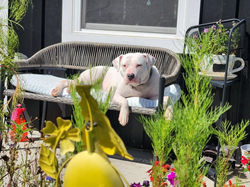 541026252_1187328546766085_345382428144882943_n