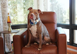 54362310268_6c4af72068_k