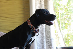 53322041659_235f0baf47_k