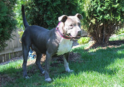 54513039748_6685b1679a_k