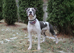 54267852365_830fd44e34_k