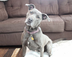 img_4426a_32511166027_o