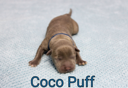 photo-collage-maker_hivj7b~2_48305466771