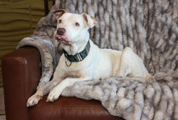 54365697231_2b47d97bcd_k