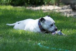 50045103938_4f712c899f_k