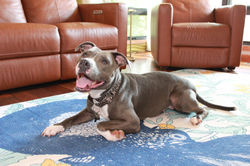 53856413697_33771f42b2_k