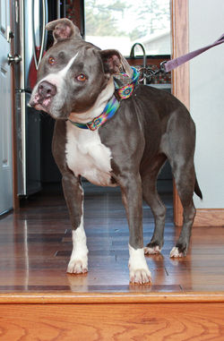 52513620931_844976f48d_k