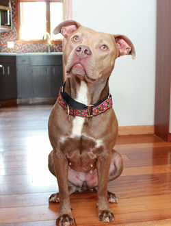 51539863593_5b48babf20_k