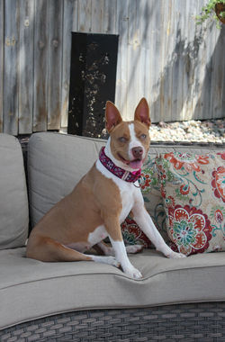 54739530057_47a7f341a2_k