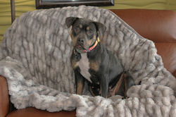 54262633487_a6894d9aeb_k