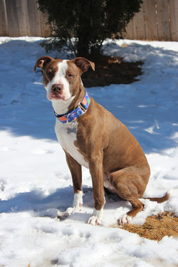 54376860895_887fea2500_k