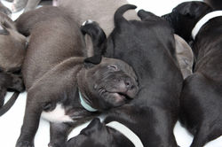 img_5400a_48436425732_o