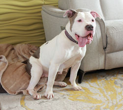 52913786632_19d3a9d7e0_k