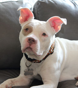 img_4698a_46966548905_o