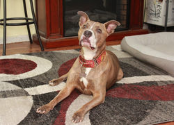 53019173990_93529d4b63_k