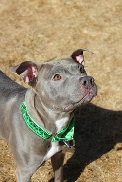 54362626002_a3f91c8918_k