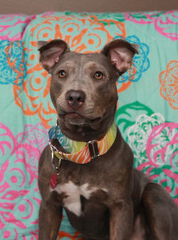 53346617890_b1de7935c5_k