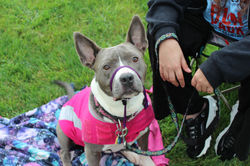 img_3410a_43149142614_o