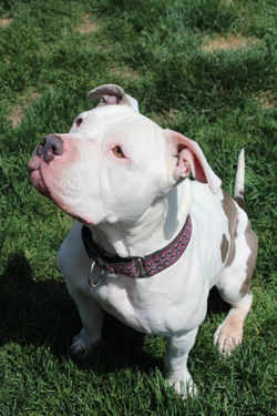 52914821413_7d91fabdaf_k