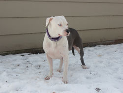 img_6442a_49184500051_o