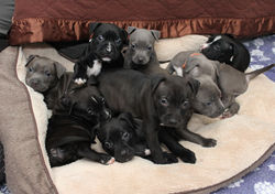 img_5719a_48563072997_o