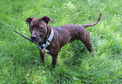 img_5059a_48217903056_o