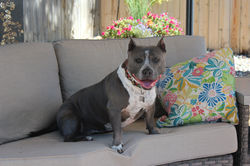 53114032131_fce47de613_k