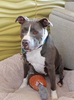 52513155677_5c3bd2f82f_k