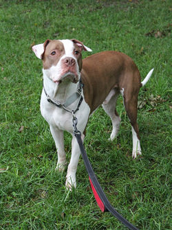 img_6202a_48833516298_o