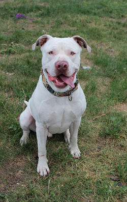 52978020719_c47c1e5515_k