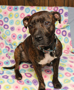 img_5115a_48217900276_o