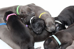 img_5294a_48436431442_o