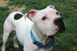 52907981992_39985c2710_k