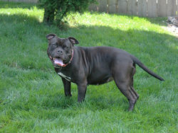 54755312696_d6dfebfea9_k